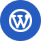 WordPress Developer – Intern